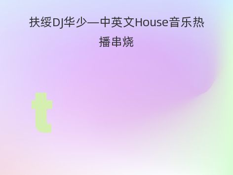 扶绥DJ华少—中英文House音乐热播串烧