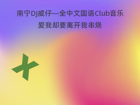 南宁DJ威仔—全中文国语Club音乐爱我却要离开我串烧