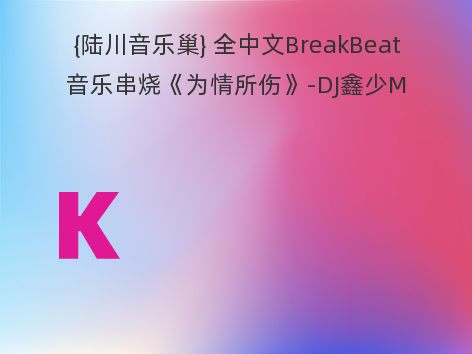 {陆川音乐巢} 全中文BreakBeat音乐串烧《为情所伤》-DJ鑫少Mix 2018