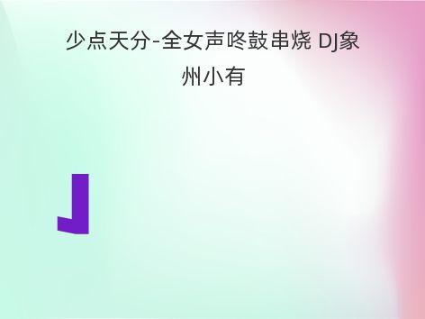 少点天分-全女声咚鼓串烧 DJ象州小有