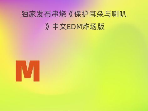 独家发布串烧《保护耳朵与喇叭》中文EDM炸场版