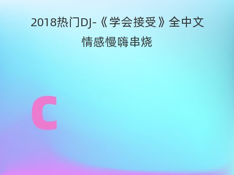 2018热门DJ-《学会接受》全中文情感慢嗨串烧