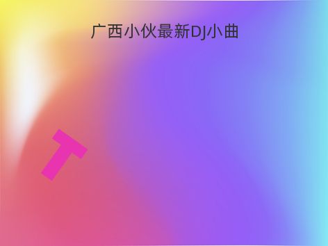 广西小伙最新DJ小曲