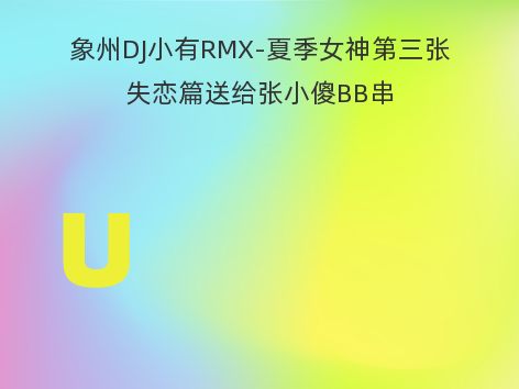 象州DJ小有RMX-夏季女神第三张失恋篇送给张小傻BB串