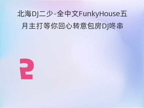 北海DJ二少-全中文FunkyHouse五月主打等你回心转意包房DJ咚串烧