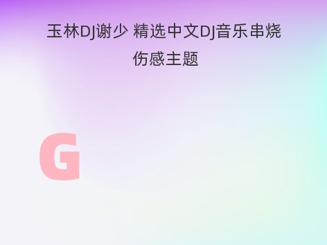 玉林DJ谢少 精选中文DJ音乐串烧 伤感主题