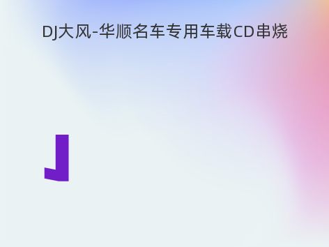 DJ大风-华顺名车专用车载CD串烧