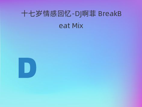 十七岁情感回忆-DJ啊菲 BreakBeat Mix