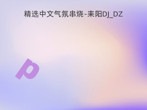 精选中文气氛串烧-耒阳DJ_DZ