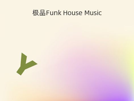 极品Funk House Music