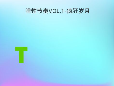 弹性节奏VOL.1-疯狂岁月