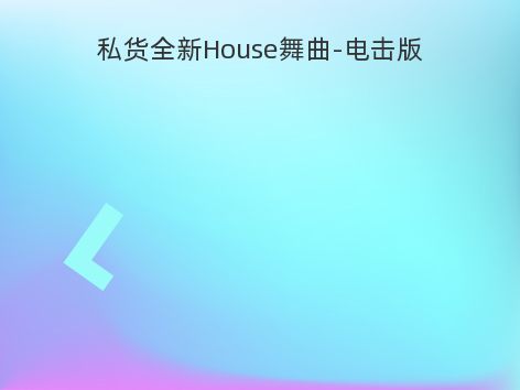 私货全新House舞曲-电击版