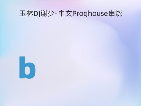 玉林DJ谢少-中文Proghouse串烧