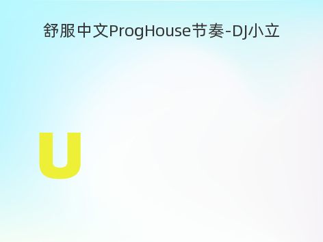 舒服中文ProgHouse节奏-DJ小立