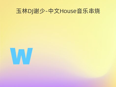 玉林DJ谢少-中文House音乐串烧