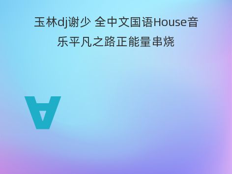 玉林dj谢少 全中文国语House音乐平凡之路正能量串烧