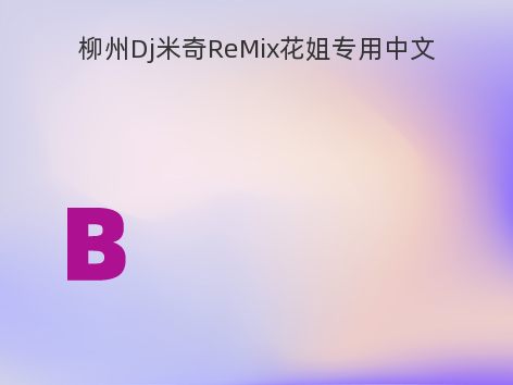 柳州Dj米奇ReMix花姐专用中文