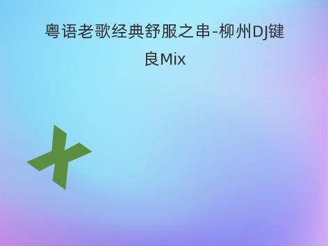 粤语老歌经典舒服之串-柳州DJ键良Mix