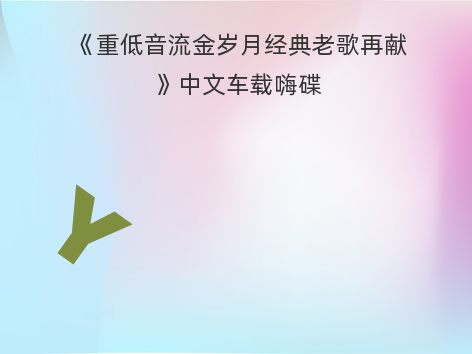 《重低音流金岁月经典老歌再献》中文车载嗨碟