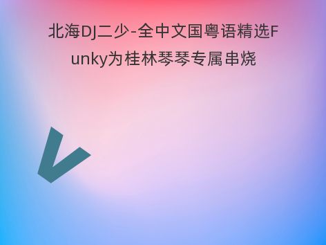 北海DJ二少-全中文国粤语精选Funky为桂林琴琴专属串烧