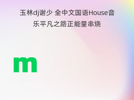 玉林dj谢少 全中文国语House音乐平凡之路正能量串烧