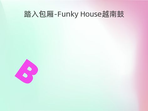 踏入包厢-Funky House越南鼓