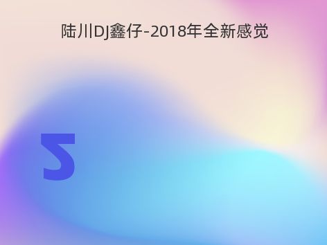 陆川DJ鑫仔-2018年全新感觉