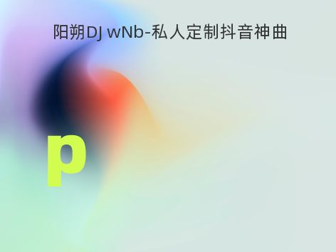 阳朔DJ wNb-私人定制抖音神曲