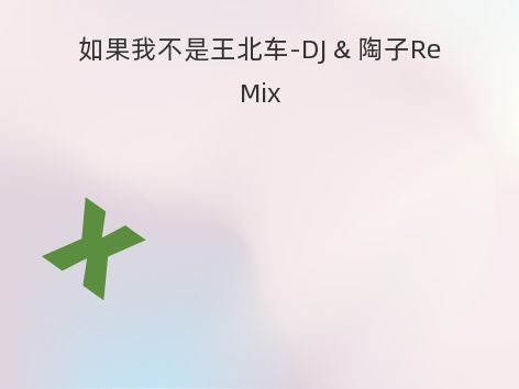 如果我不是王北车-DJ & 陶子ReMix